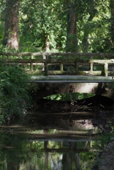 森をお散歩・・・②