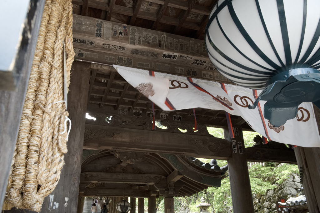 長谷寺　五月・・・③