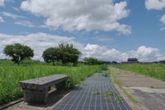 夏の空・・・平城宮跡②