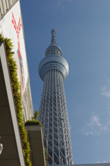 見返り美人・・・東京ツリー