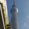 見返り美人・・・東京ツリー