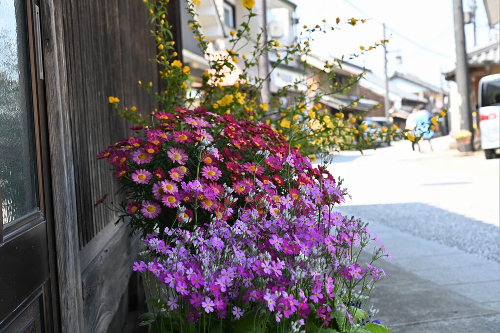 街角の花