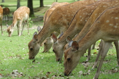 お食事タイム。