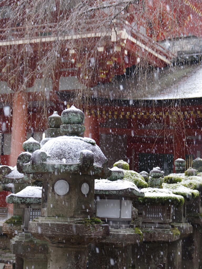雪・春日大社にて・・・⑦