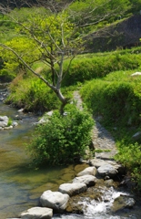 明日香点景④