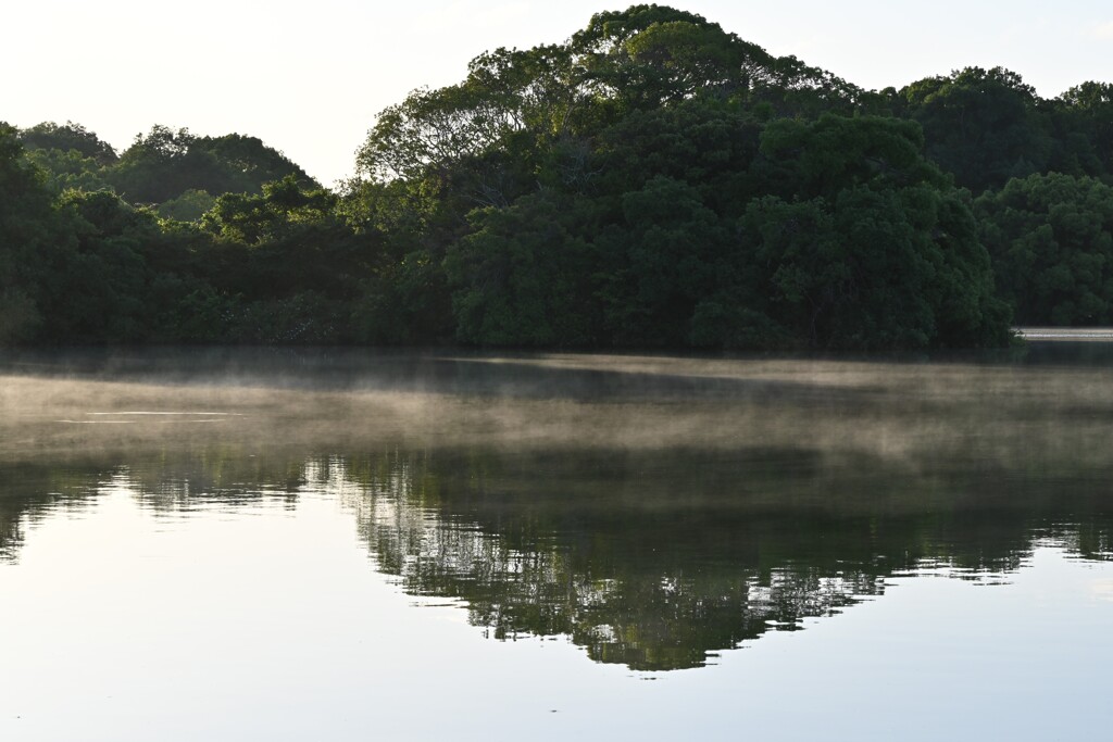 水霧・・・①