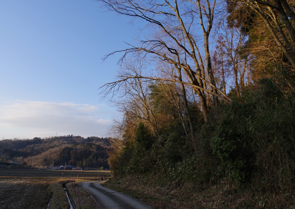 冬の田舎道・・・⑤