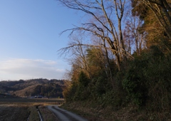 冬の田舎道・・・⑤