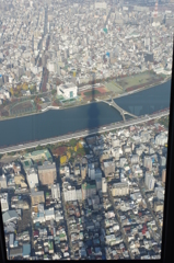 影も背高のっぽ・・・。