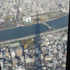 影も背高のっぽ・・・。
