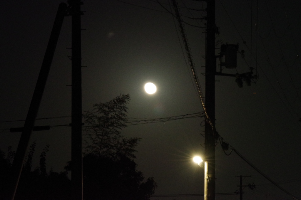 月夜（2）