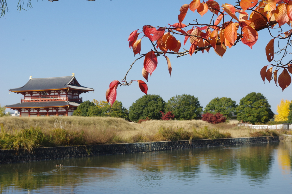 秋も、もうじき終わりそう。・・・平城宮跡②