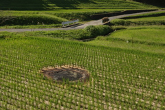 里の秋・・・田原②