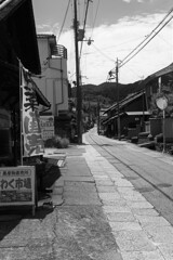 土佐街道にて・・・②