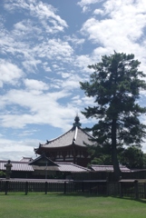 夏の空・・・興福寺南円堂⑤