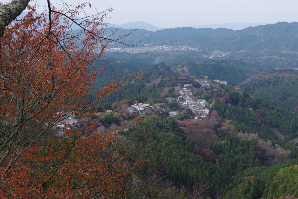 2017秋・・・吉野山⑫