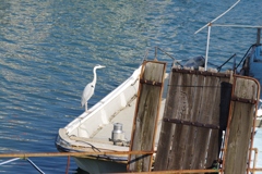 鞆の浦４月・・・・・・③