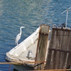 鞆の浦４月・・・・・・③