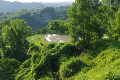 6月の田んぼ・・・諸々⑧