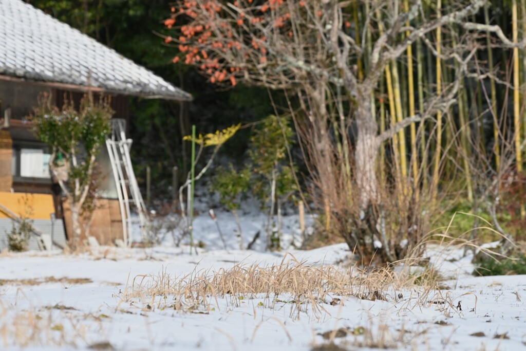 雪景色・・・②