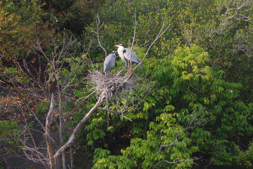 子育て中・・・②