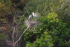 子育て中・・・②