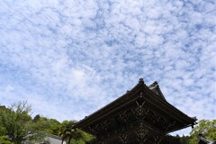 長谷寺　五月・・・②