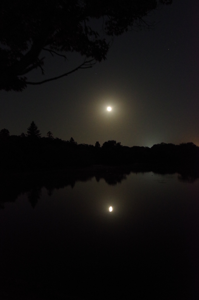 月夜（1）