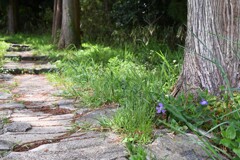 山のお寺へ・・・①