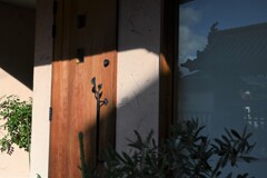 お散歩（奈良）・・・⑧