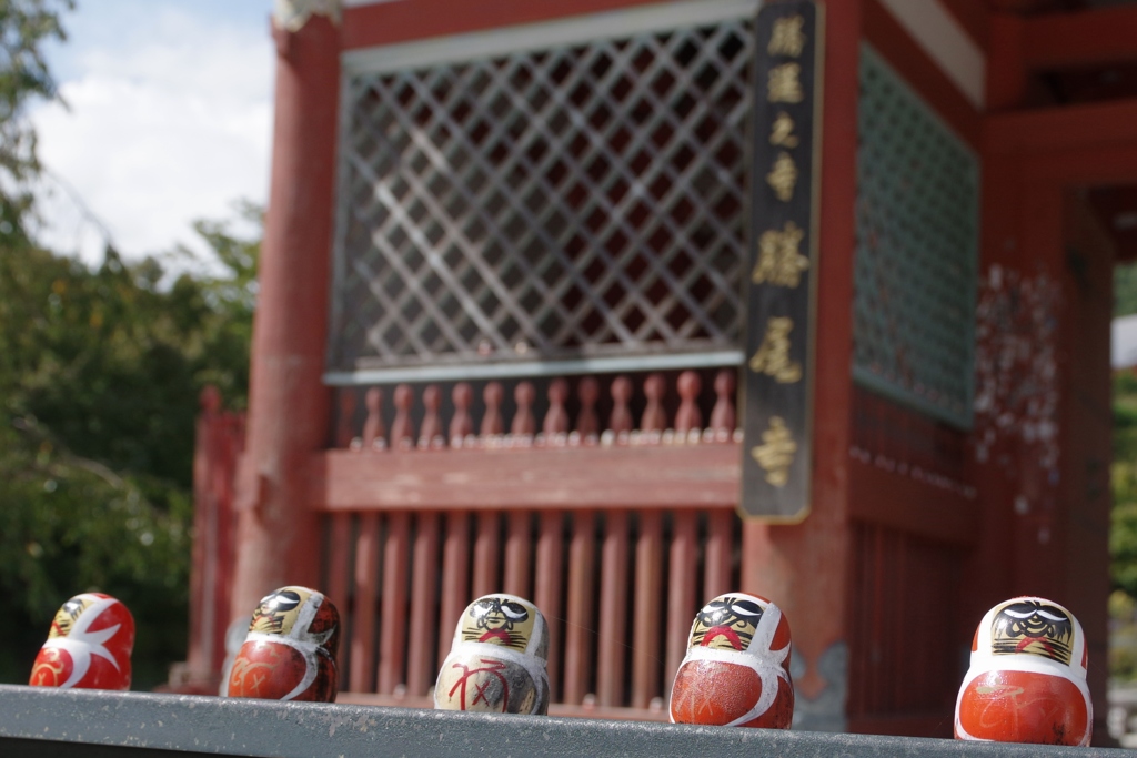 あちこちにダルマ