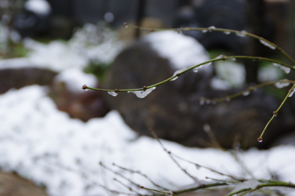 奈良町・雪⑤