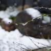 奈良町・雪⑤