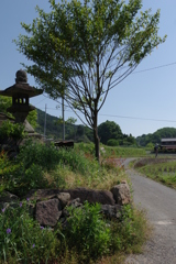 灯篭のある道
