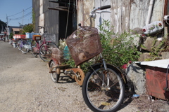 島の三輪車達。