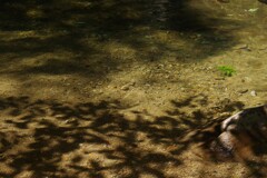 渓谷にて・・・⑩