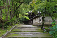 緑さやかに・・・①