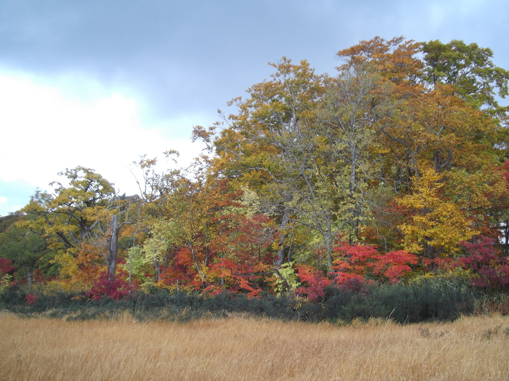 彩～紅葉　秋田八幡平国立公園