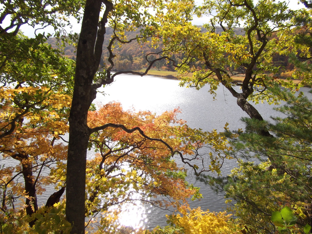 秋～紅葉　秋田八幡平国立公園