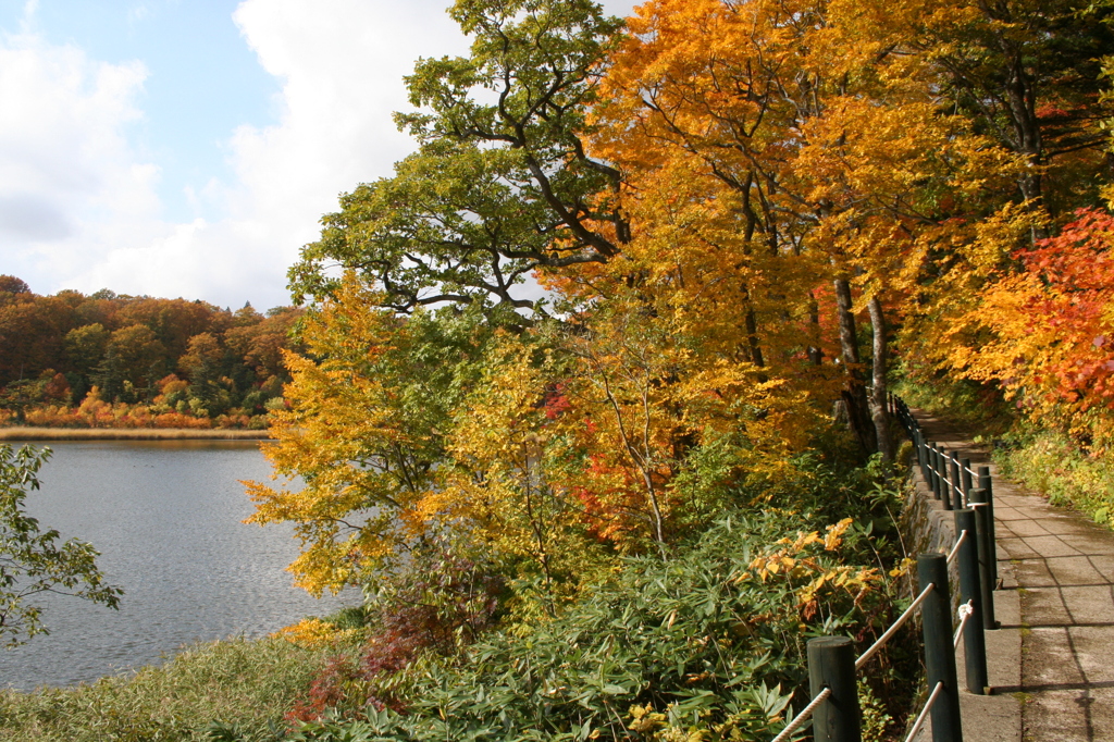 秋～紅葉　秋田八幡平国立公園