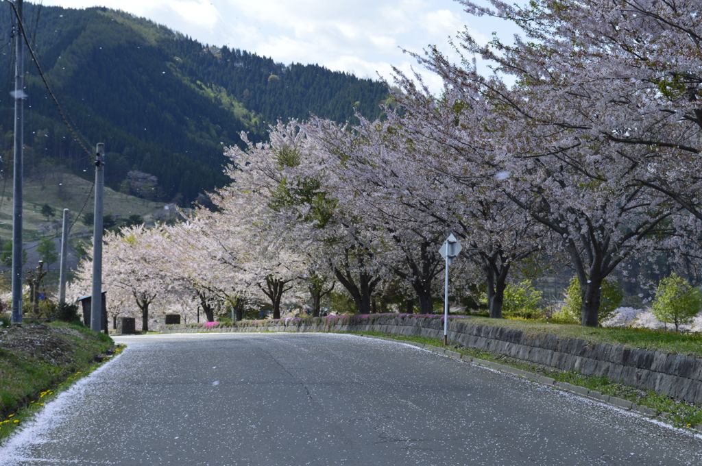 20140506 027