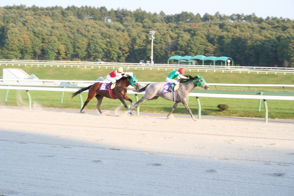 競馬場