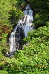 water fall