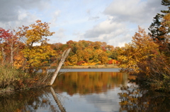 秋～紅葉　秋田八幡平国立公園