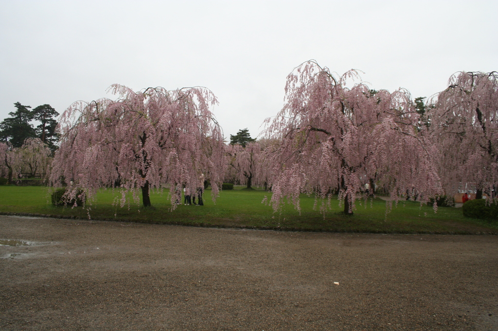 弘前公園