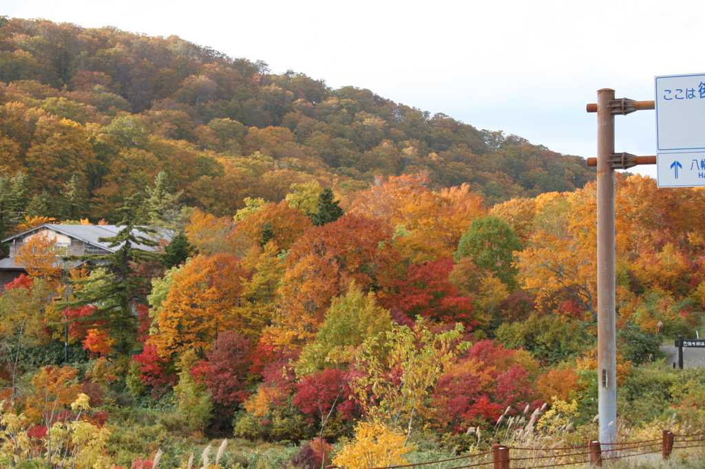 秋～紅葉　秋田八幡平国立公園