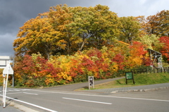 秋～紅葉　秋田八幡平国立公園