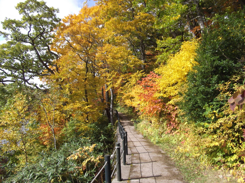 彩り～紅葉　秋田八幡平国立公園