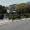 昭和記念公園　噴水