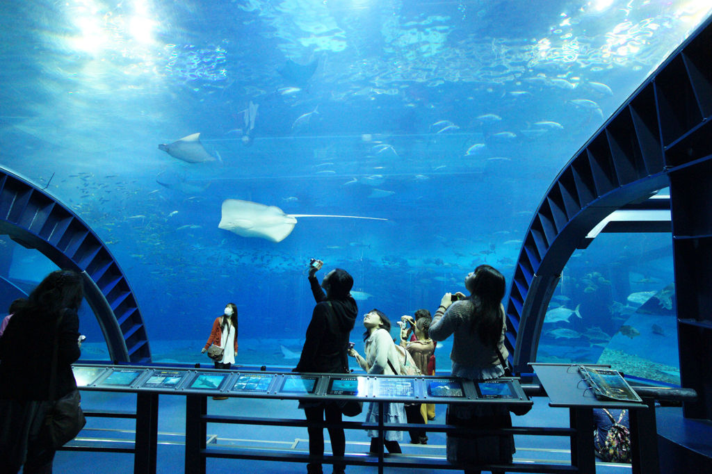 沖縄　水族館